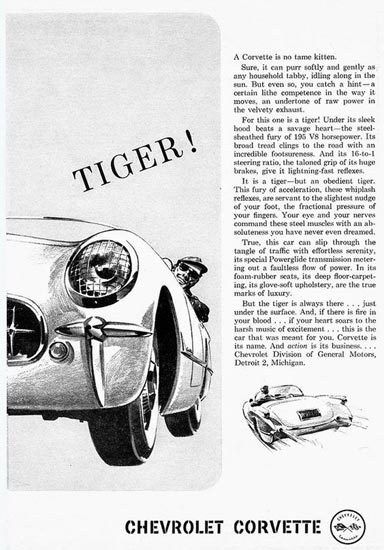 1954 Corvette Tiger ad