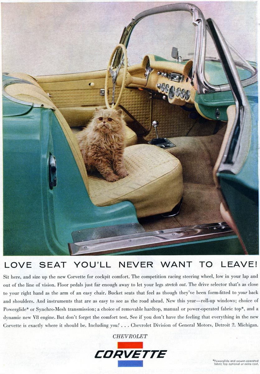 1956 Corvette Ad with Cat
